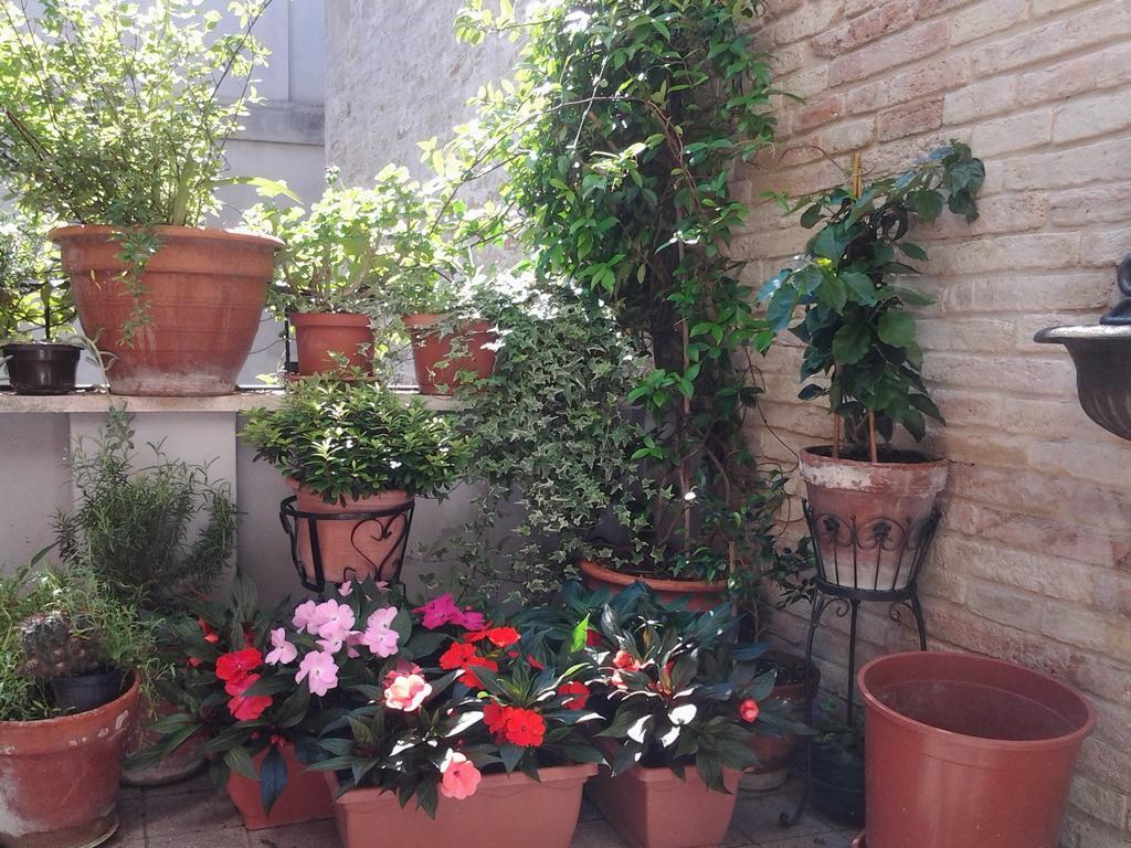 Il Covo Dei Piccioni Acomodação com café da manhã Castelfidardo Exterior foto